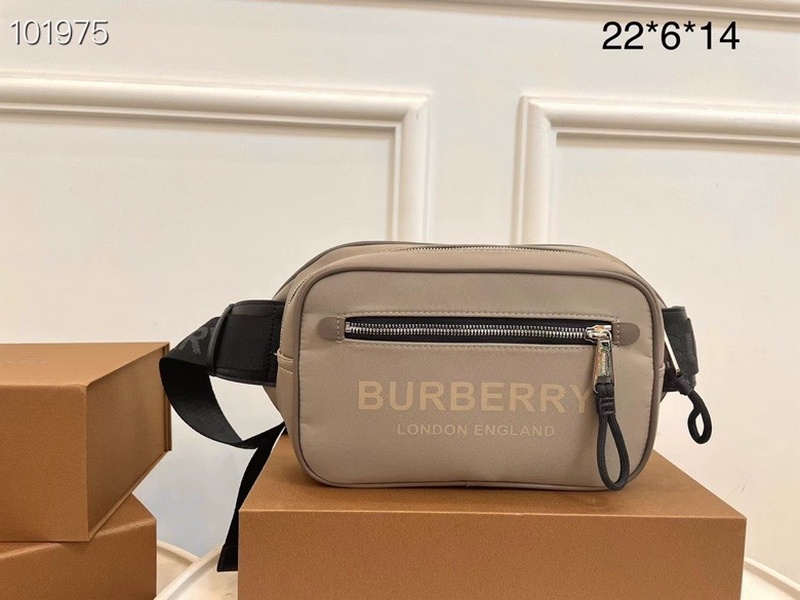 Burberry Handbags 43